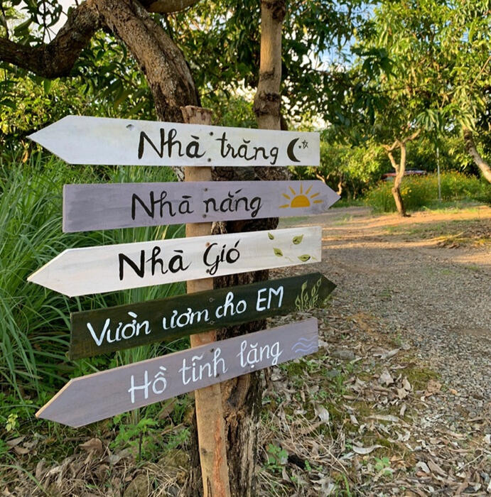 Le chemin du retour me ramène